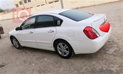 رينو سافران